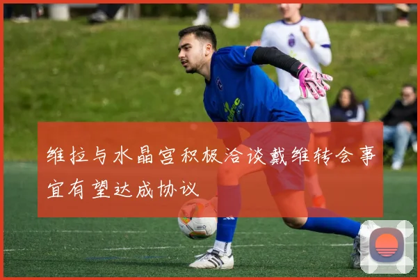维拉与水晶宫积极洽谈戴维转会事宜有望达成协议