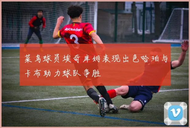 菜鸟球员埃奇库姆表现出色哈珀与卡布助力球队争胜