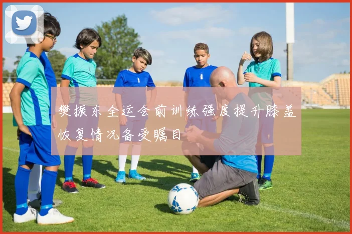 樊振东全运会前训练强度提升膝盖恢复情况备受瞩目